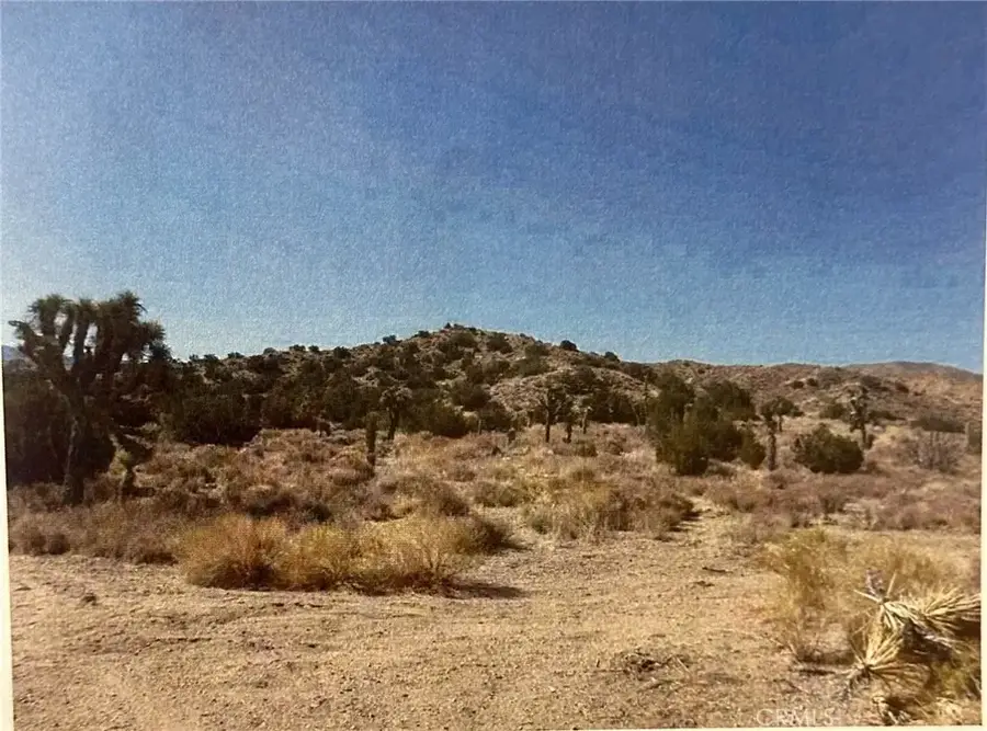 7 34.471889,-117.929478, Pearblossom, CA 93355 - #2