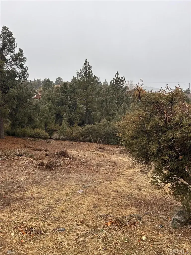 2029 Zermatt, Pine Mountain Club, CA 93222 - Image #3