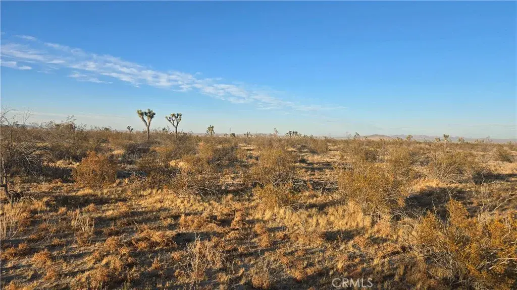 0 Avenue U4 & 257th St E, Llano, CA 93544 - Image #1