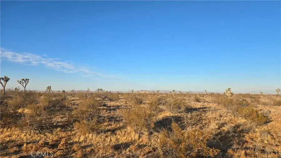 0 Avenue U4 & 257th St E, Llano, CA 93544 - Image #2