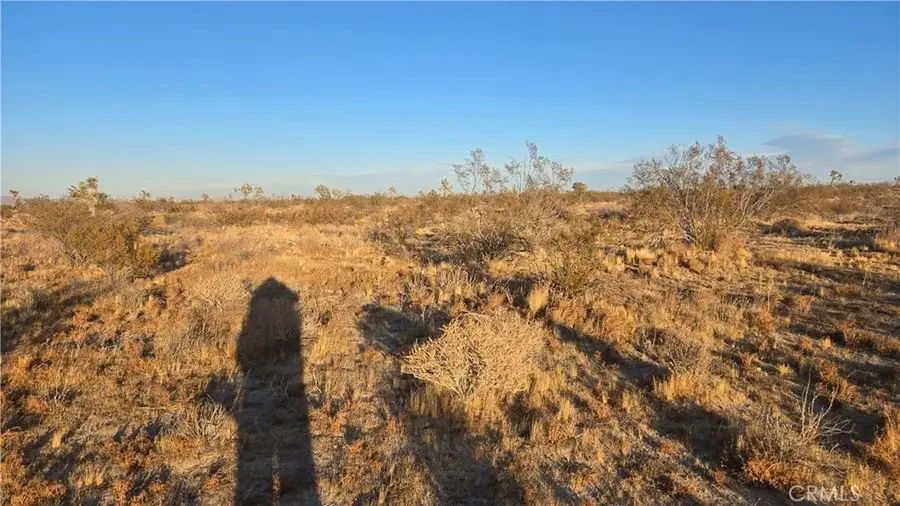 0 Avenue U4 & 257th St E, Llano, CA 93544 - Image #3