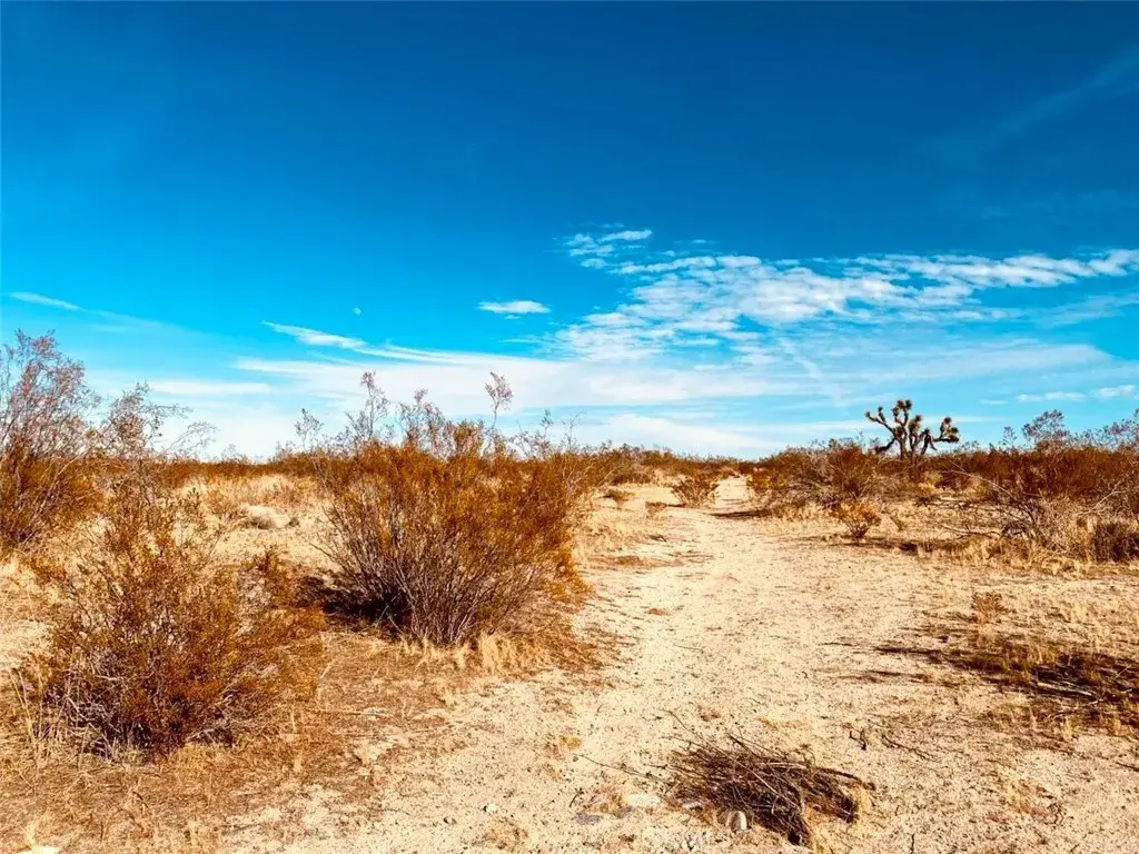 135 E 135 St E, Pearblossom, CA 93553 - Image #1