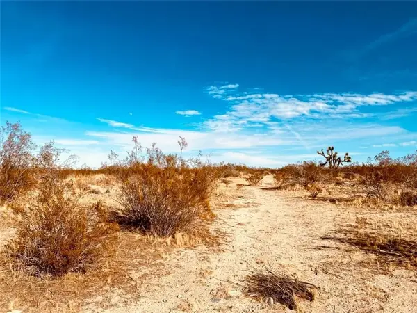 135 E 135 St E, Pearblossom, CA 93553