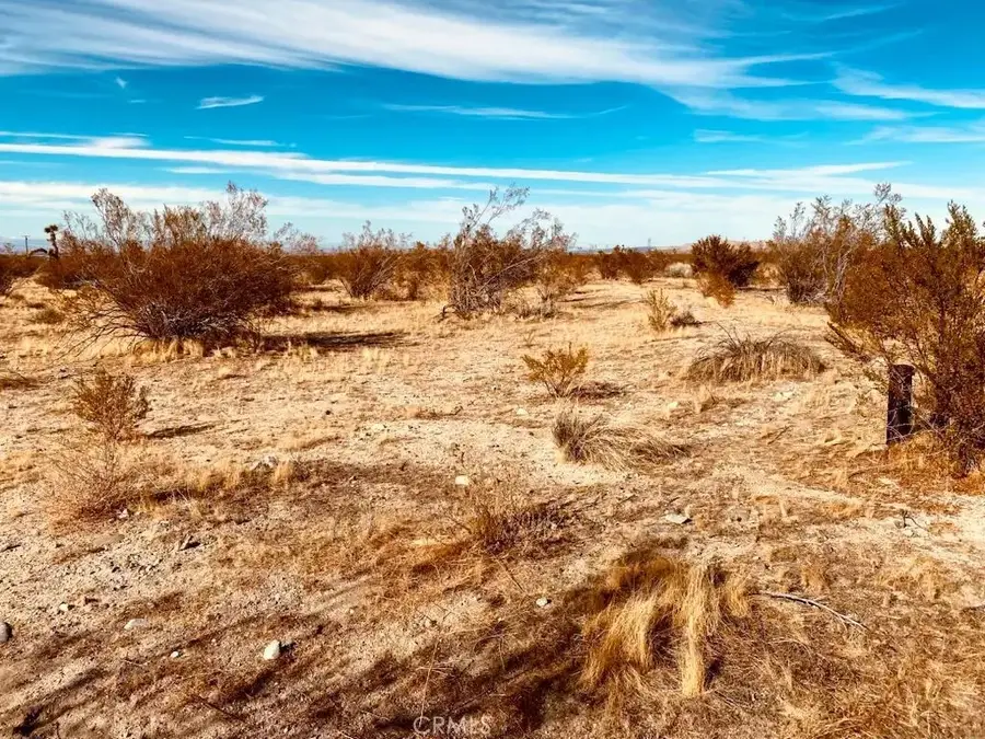 135 E 135 St E, Pearblossom, CA 93553 - Image #2