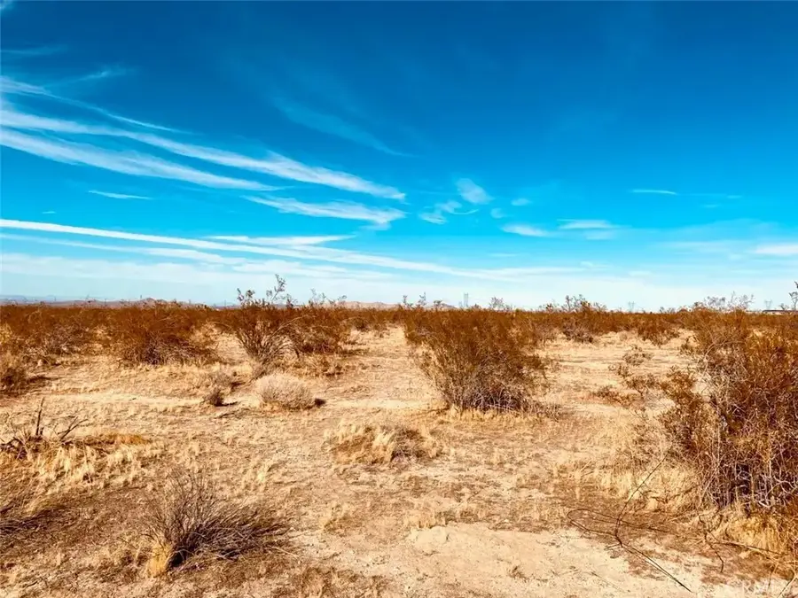 135 E 135 St E, Pearblossom, CA 93553 - Image #3