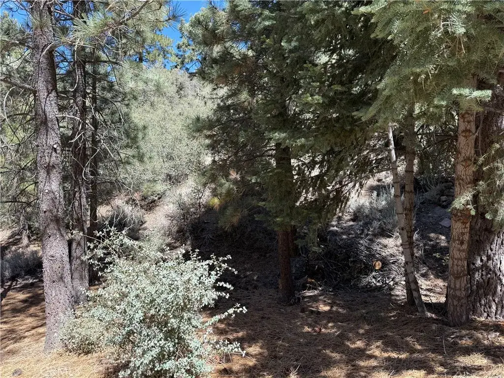 1420 Linden, Pine Mountain Club, CA 93222 - Image #1
