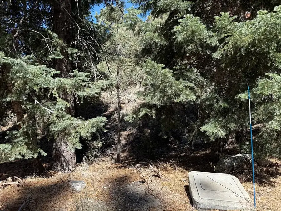 1420 Linden, Pine Mountain Club, CA 93222 - Image #2
