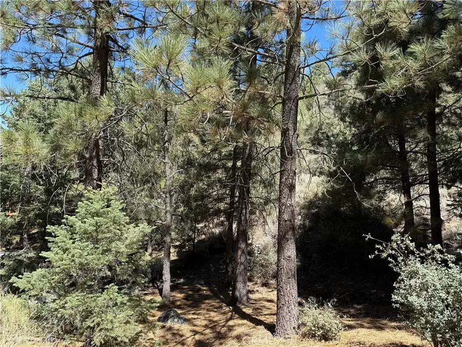 1420 Linden, Pine Mountain Club, CA 93222 - Image #3