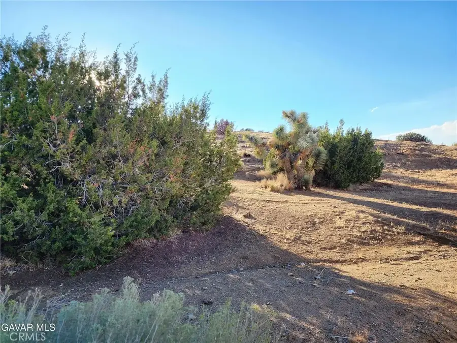 75 W Avenue D-12, North Antelope Valley, CA 93536 - #2