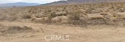 101375 Nipton, Nipton, CA 92364 - #2