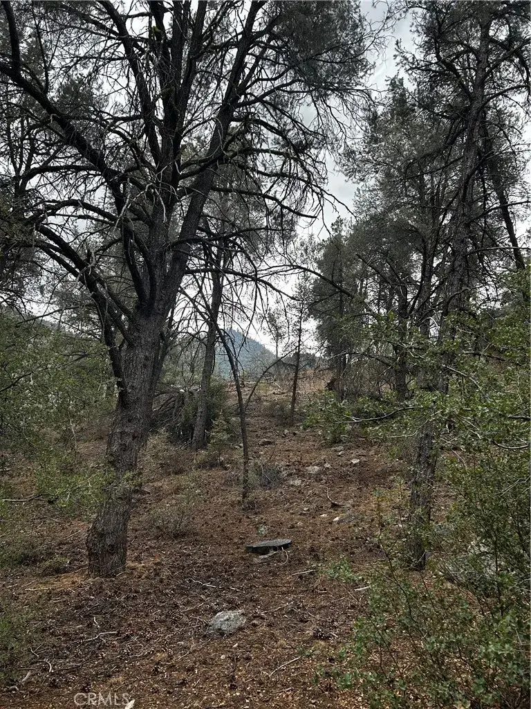 14208 Yellowstone, Pine Mountain Club, CA 93225 - Image #1