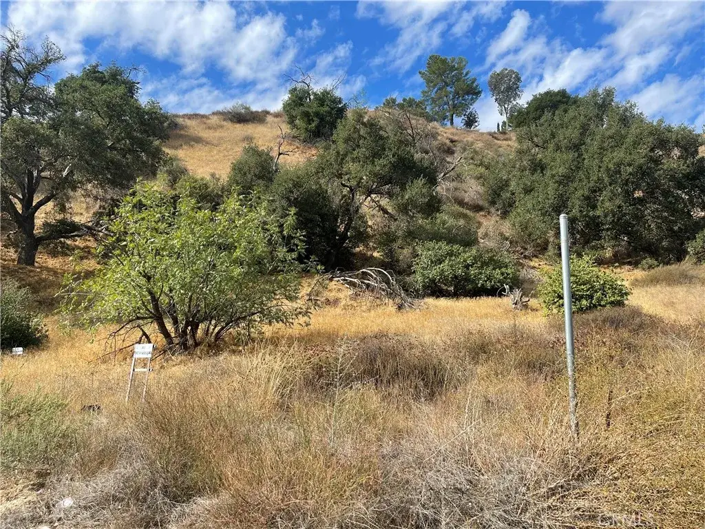 0 Chiquita Canyon Rd, Val Verde, CA 91384 - #1