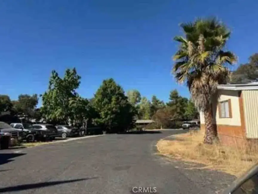 892 Morado, Copperopolis, CA 95228 - Image #3