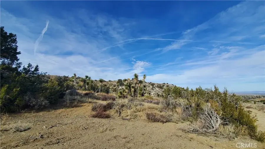 0 Vicinity Ross Road East, Juniper Hills, CA 93543 - #3