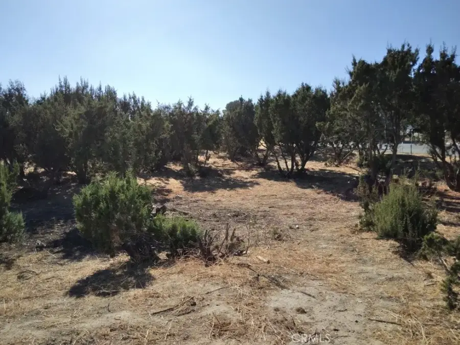 0 Agua Dulce Canyon, Agua Dulce, CA 91350 - Image #3