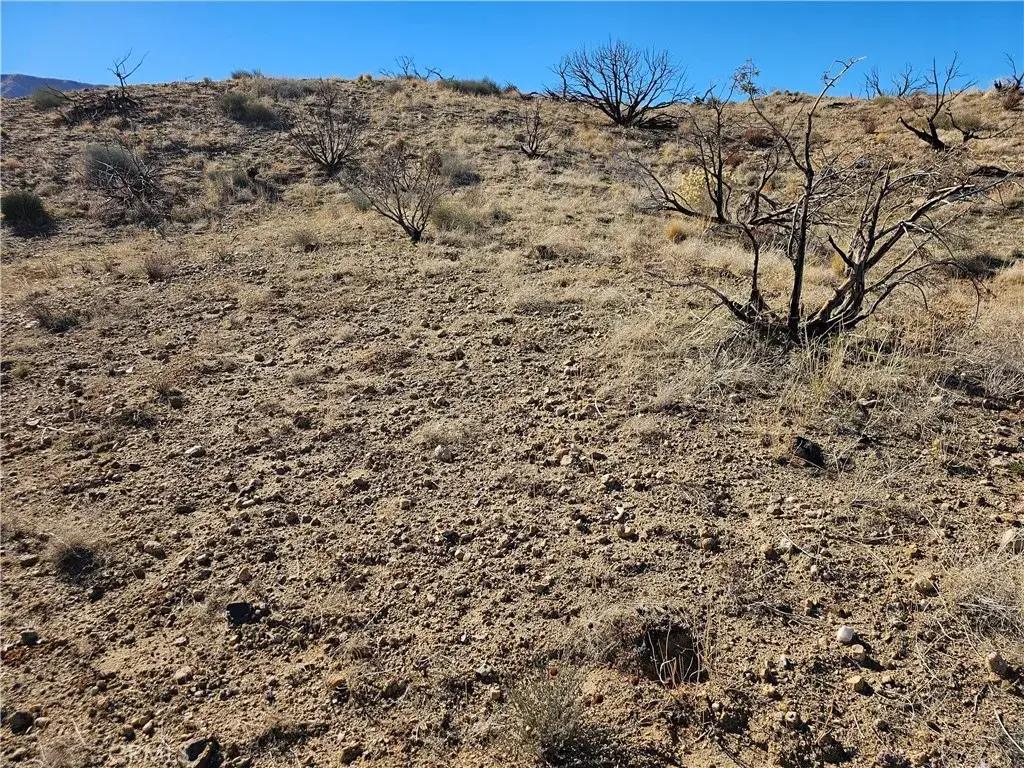 6 128th East, Juniper Hills, CA 93543 - Image #1