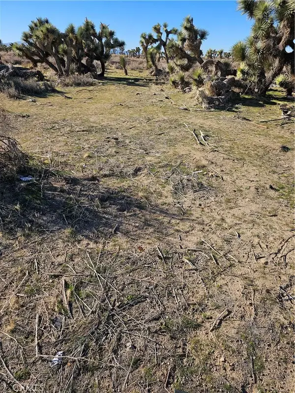 0 Division St, Juniper Hills, CA 93550