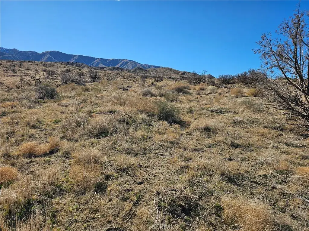 126 E Avenue Y4, Littlerock, CA 93543 - #1