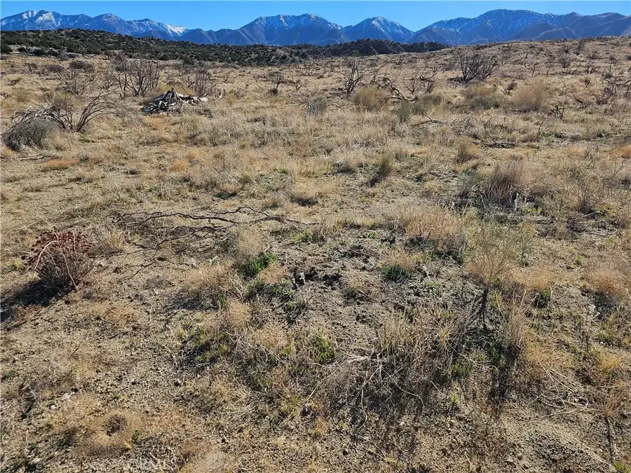 126 E Avenue Y4, Littlerock, CA 93543 - #2