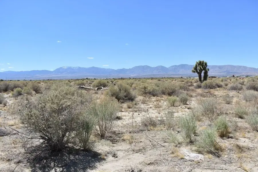 14500 Ave R, Littlerock, CA 93543 - #3