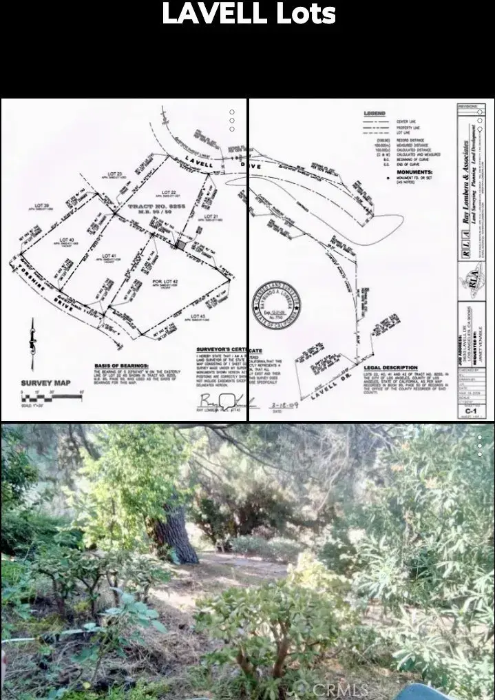 3633 Lavell Drive, Los Angeles, CA 90065 - Image #1