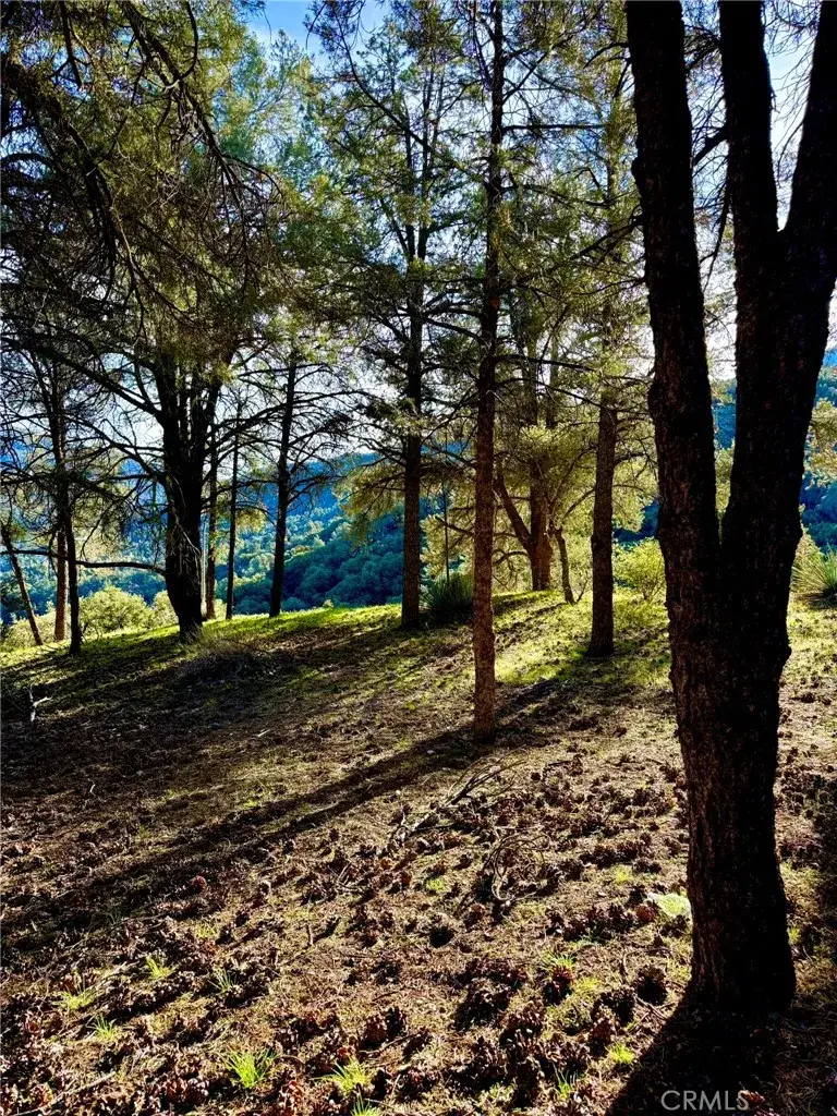 2604 Tirol, Frazier Park, CA 93225 - Image #3