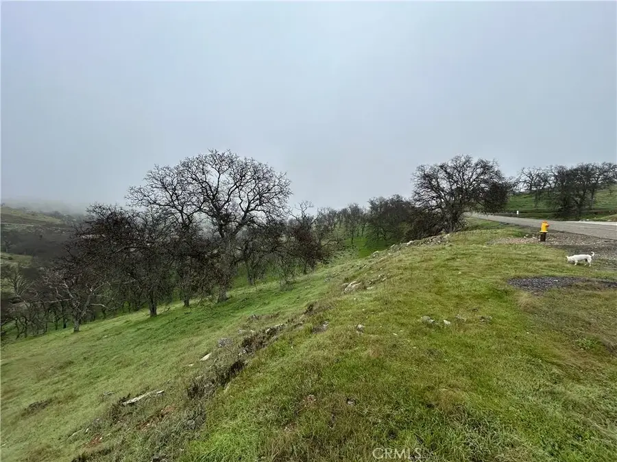 9784 Torito, La Grange, CA 95329 - #2