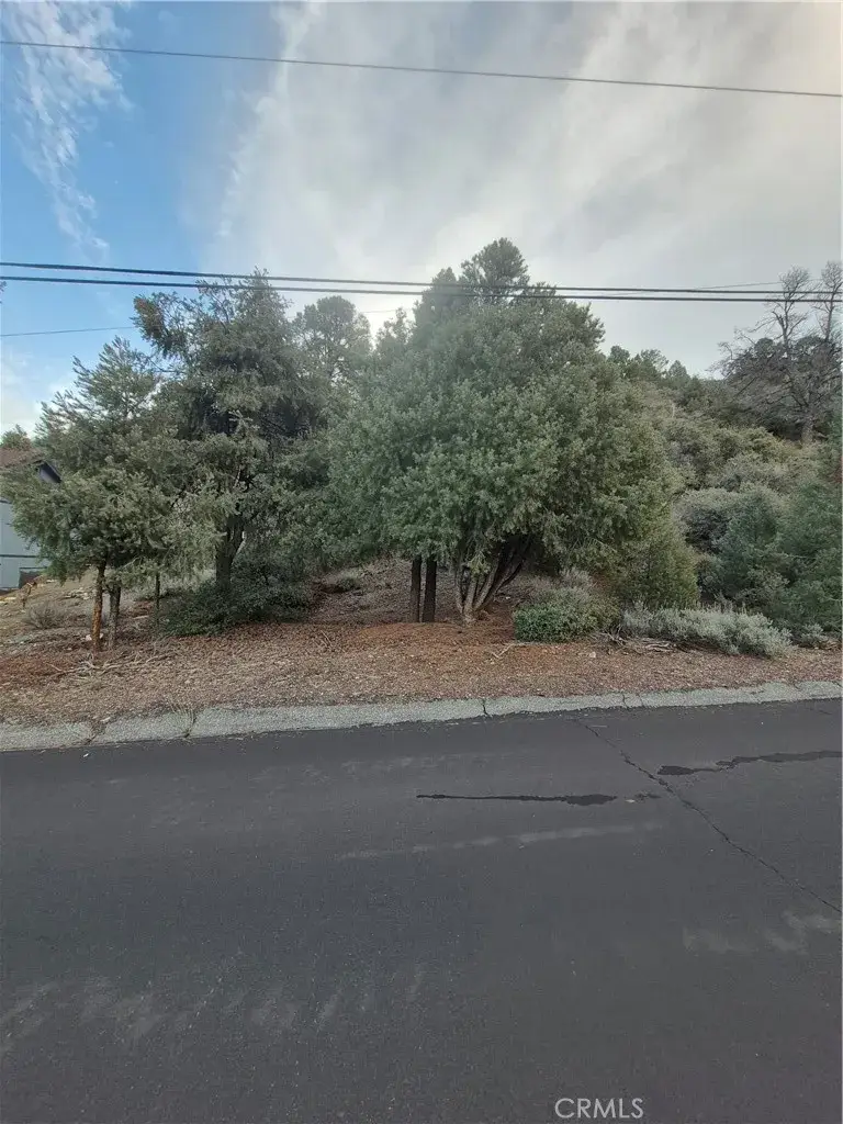 2024 Woodland Drive, Pine Mountain Club, CA 93222 - Image #1