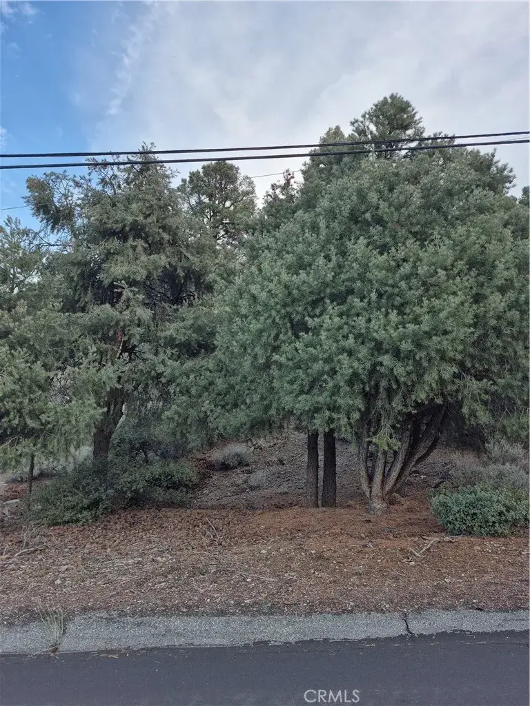 2024 Woodland Drive, Pine Mountain Club, CA 93222 - Image #2