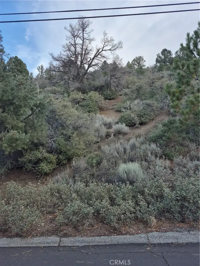 2016 Woodland Drive, Pine Mountain Club, CA 93222 - Image #2