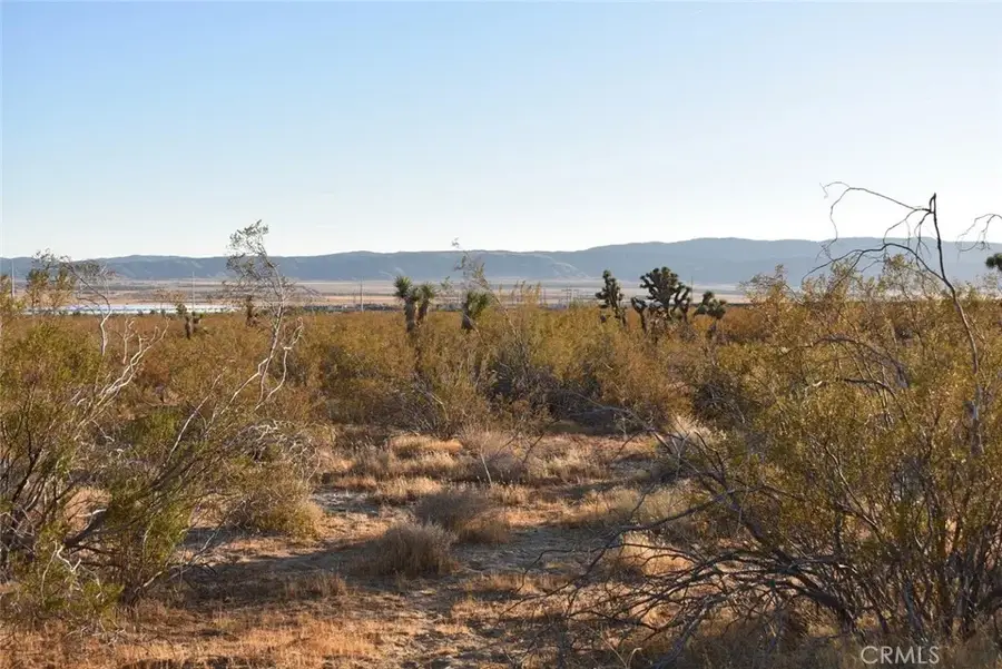 19300 Astoria, Rosamond, CA 93560 - #2