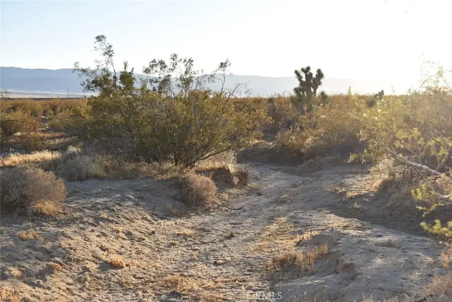 19300 Astoria, Rosamond, CA 93560 - #3