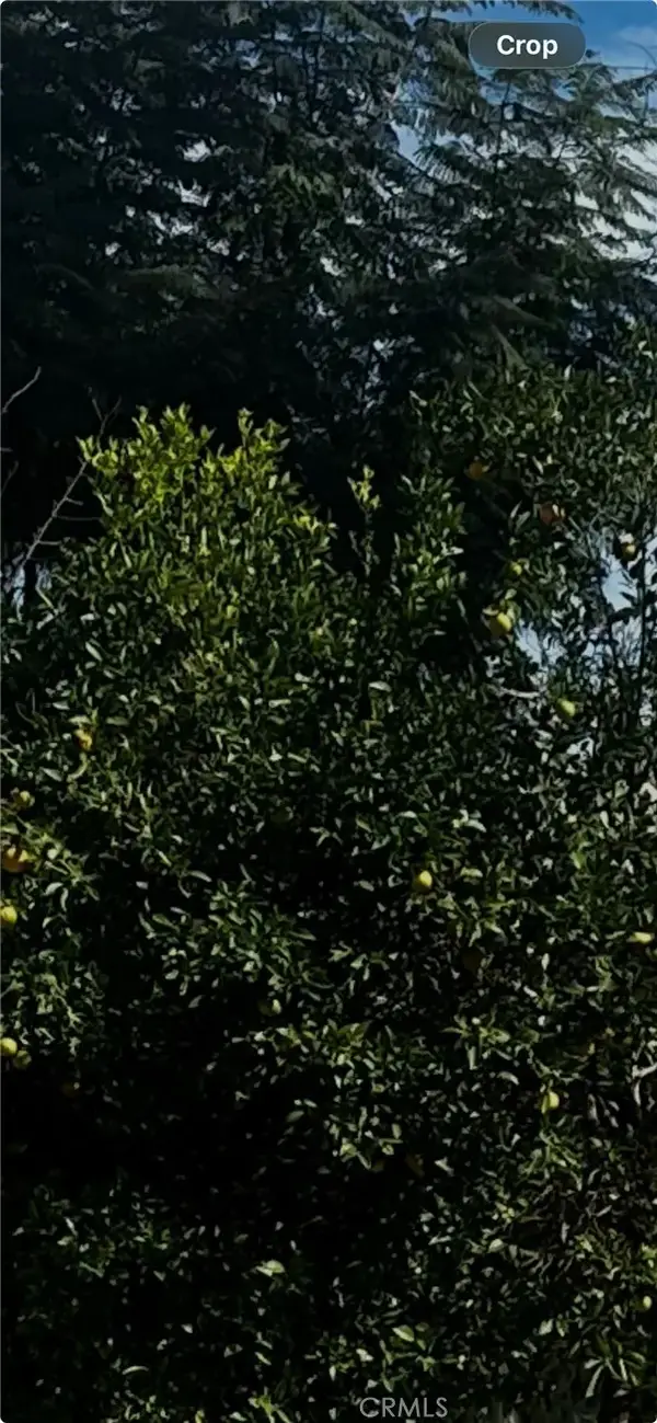 9667 Hillheaven, Tujunga, CA 91042