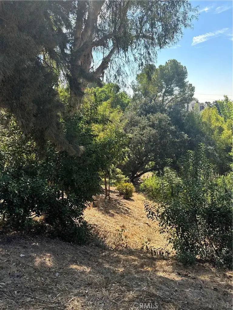 891 Mount Washington, Los Angeles, CA 90065 - #3