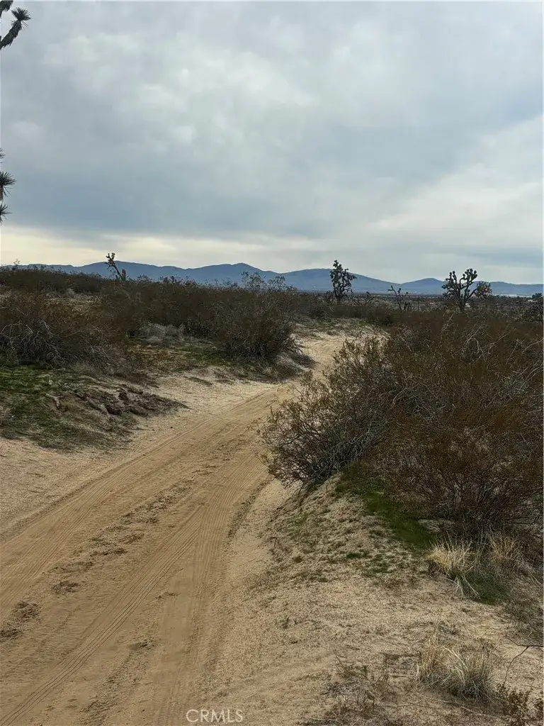 0 Dirt Rd, North Edwards, CA 93523 - Image #1