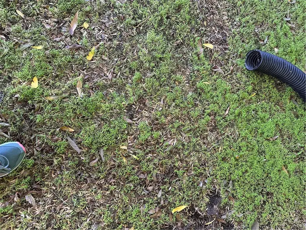 4327 Camello Road, Woodland Hills, CA 91364 - Image #1