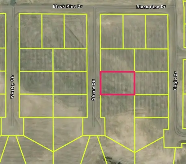 1 Shane, California Pines, CA 96101