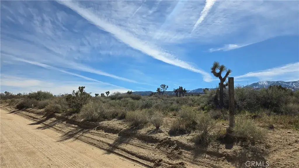 0 Fort Tejon Rd Vicinity 181st St E, Llano, CA 93544 - #1
