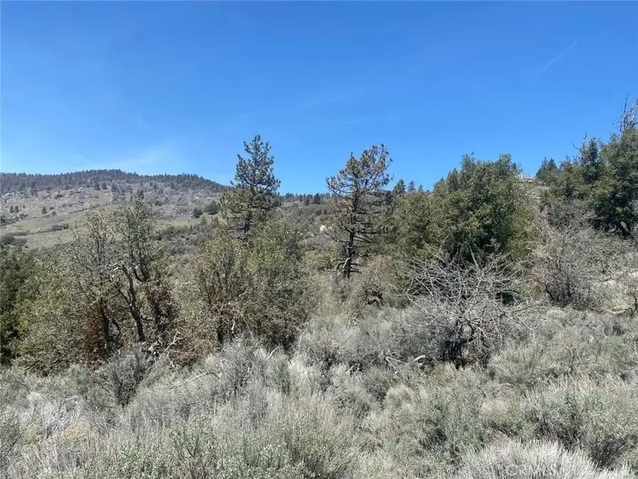 25301 Paramount, Tehachapi, CA 93561 - #2