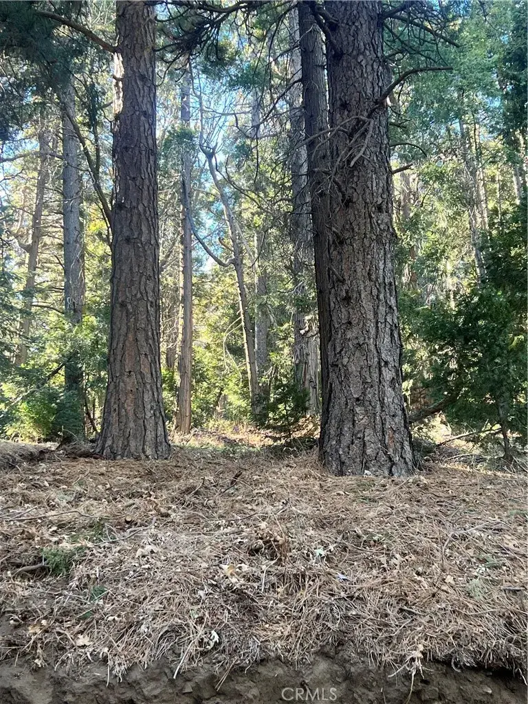 0 Reservoir, Cedarpines Park, CA 92322 - #3