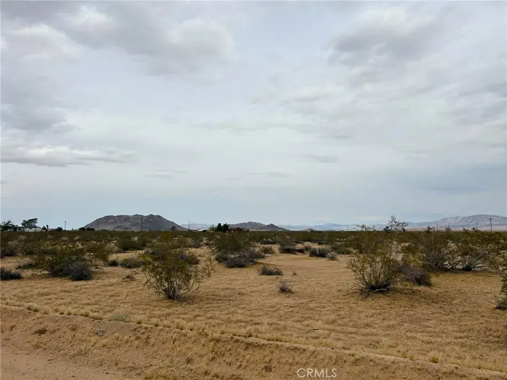 0 No Address, Landers, CA 92285 - #1