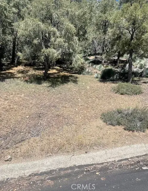 2165 Tyndall, Pine Mountain Club, CA 93222 - #3