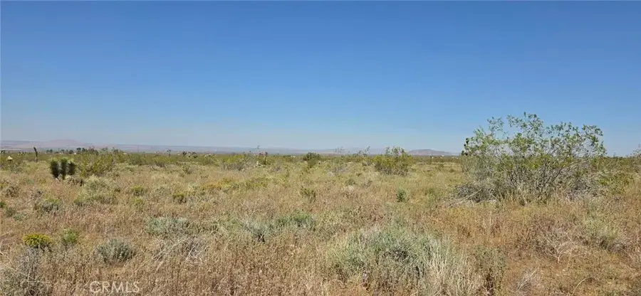 0 175th St E W14, Llano, CA 93591 - #3