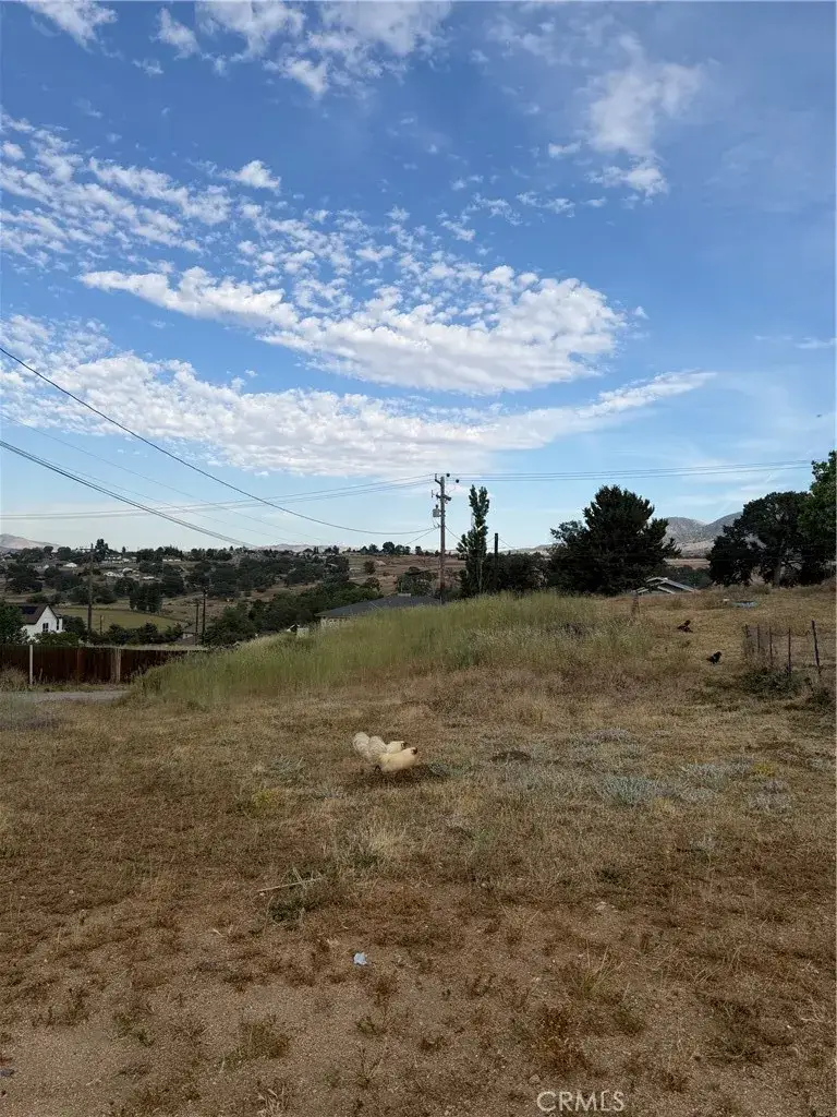 22117 Mccarthy, Tehachapi, CA 93561 - #3
