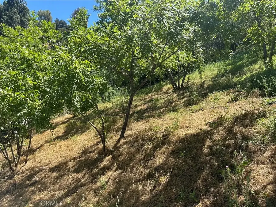3721 Ventura Canyon, Sherman Oaks, CA 91423 - #2