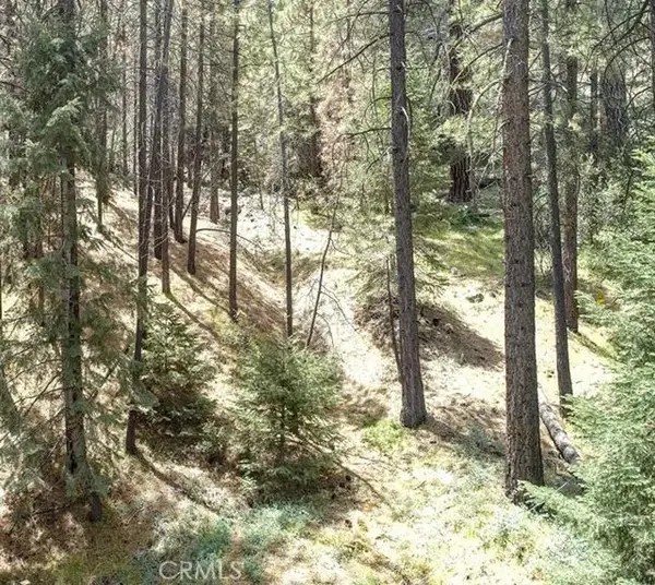 1316 Zermatt Court, Pine Mountain Club, CA 93222