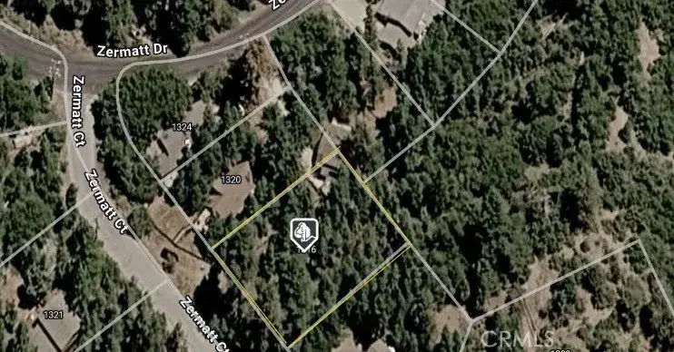 1316 Zermatt Court, Pine Mountain Club, CA 93222 - #2
