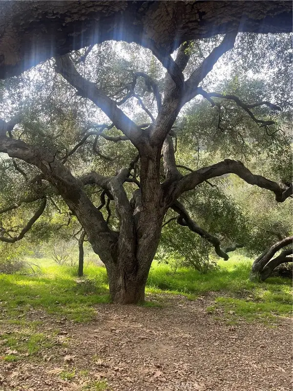 0 Kenwood, Val Verde, CA 91384