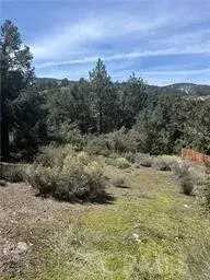 2029 Zermatt, Pine Mountain Club, CA 93222