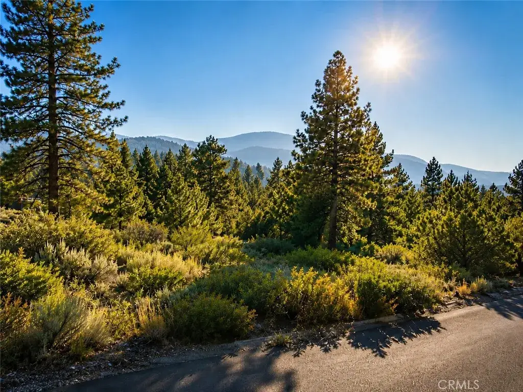 15120 Acacia, Pine Mountain Club, CA 93222 - #1
